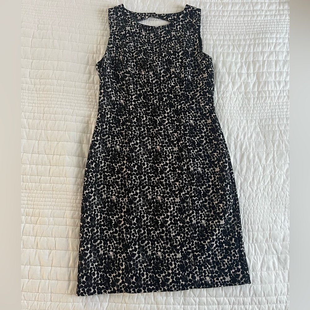 H&M Black and White Print Shift Dress